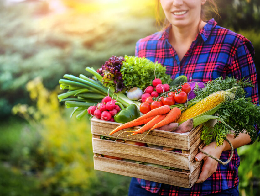 Donna cassetta verdure orto