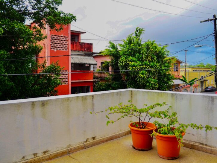 Come allontanare i piccioni dal proprio balcone