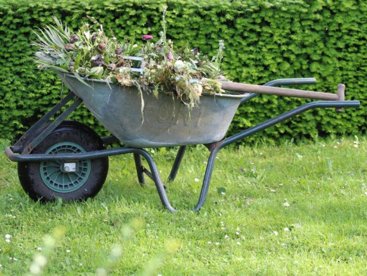 Come liberarsi delle erbacce dai viali in giardino senza utilizzare i diserbanti