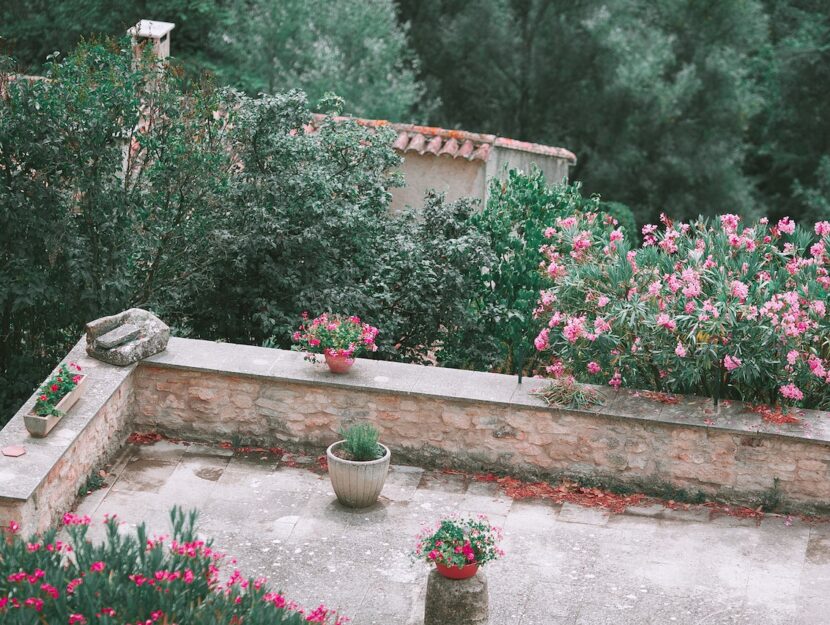 Un giardino in estate con tante pinte e fiori