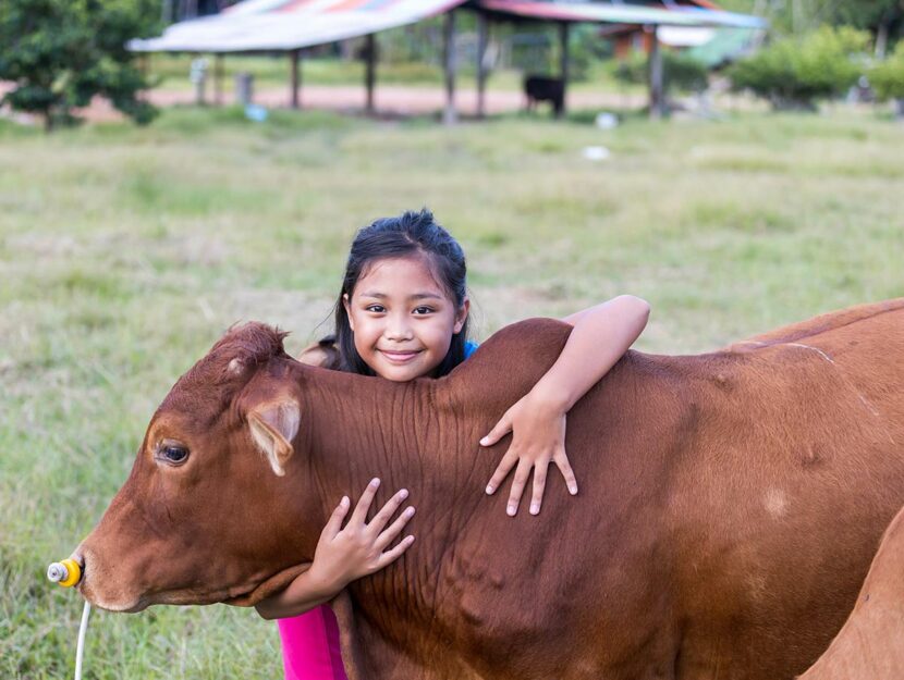 Bambina abbraccia una mucca