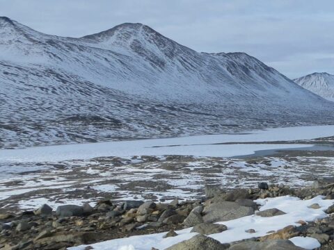 Antartide, antico ecosistema nascosto sotto il ghiacciaio