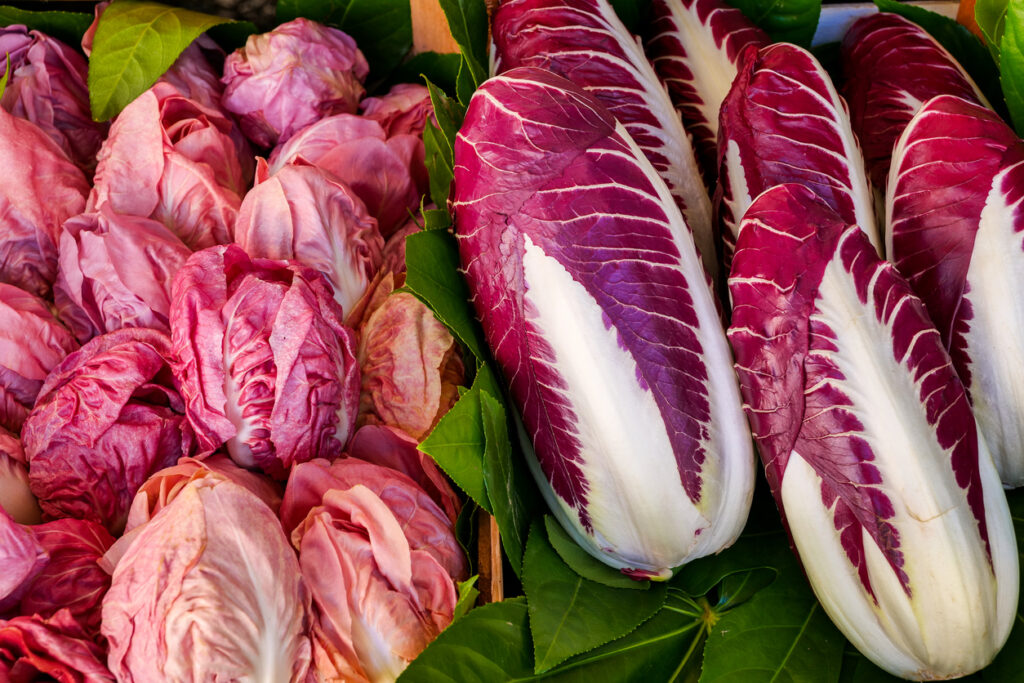 Radicchio, delizioso alleato della salute (da imparare a cucinare di più!)