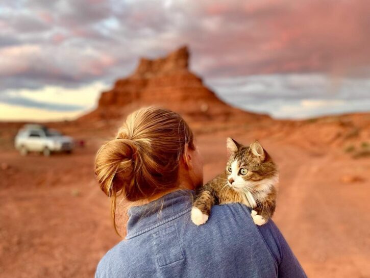 Bao Zi, la storia del gatto che gira il mondo in vacanza