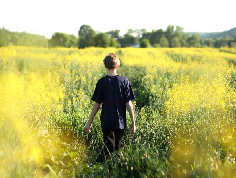 ragazzo autismo nel prato