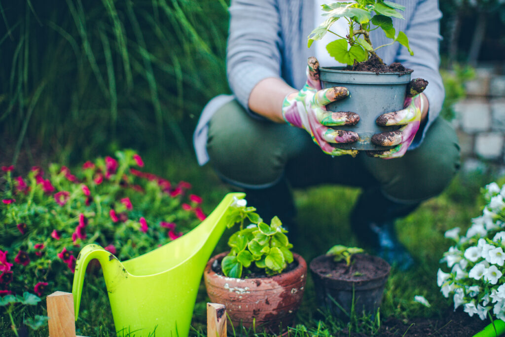 Marzo: tutti i lavori da fare in giardino e sul balcone