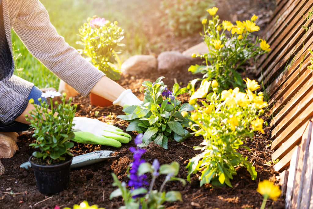 Tutti i lavori da fare in giardino e sul balcone con l'arrivo della primavera