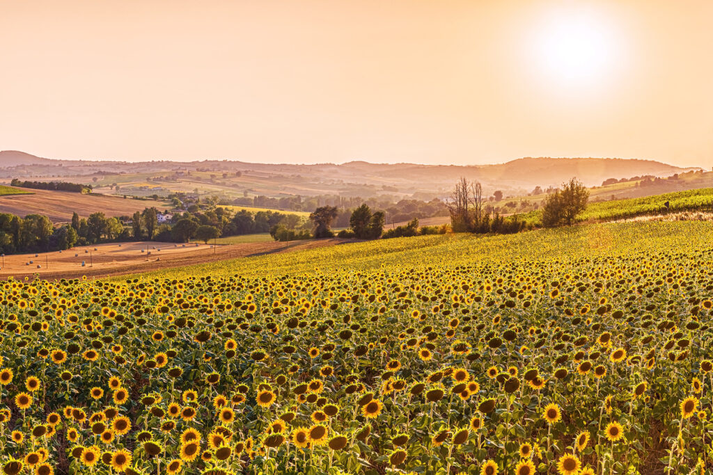 5 mete del Centro Italia da vedere assolutamente in primavera