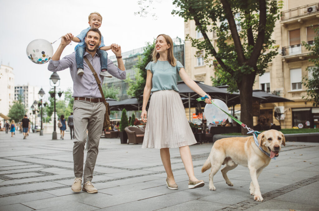 10 errori da evitare quando porti il tuo cane a passeggio