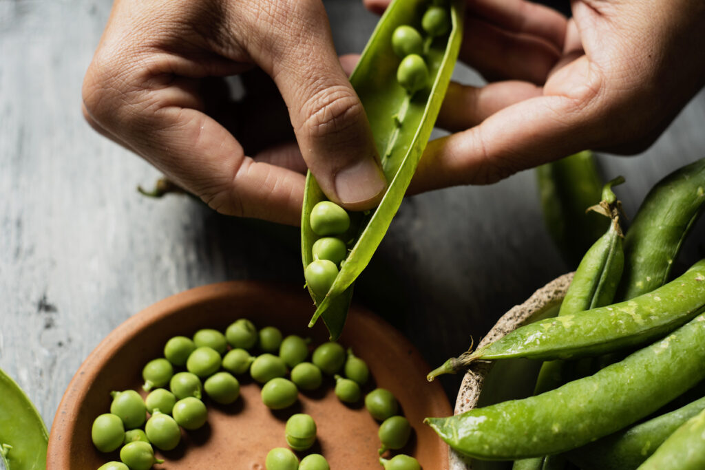 Primavera: le 15 verdure di stagione da mettere in tavola