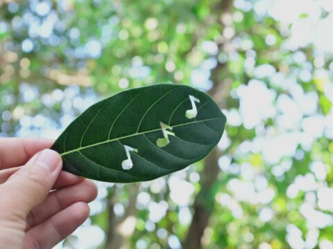 Dormire meglio, impazza la moda del "rumore verde"