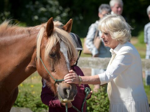 La regina Camilla: "Non cavalco più, sono vecchia"