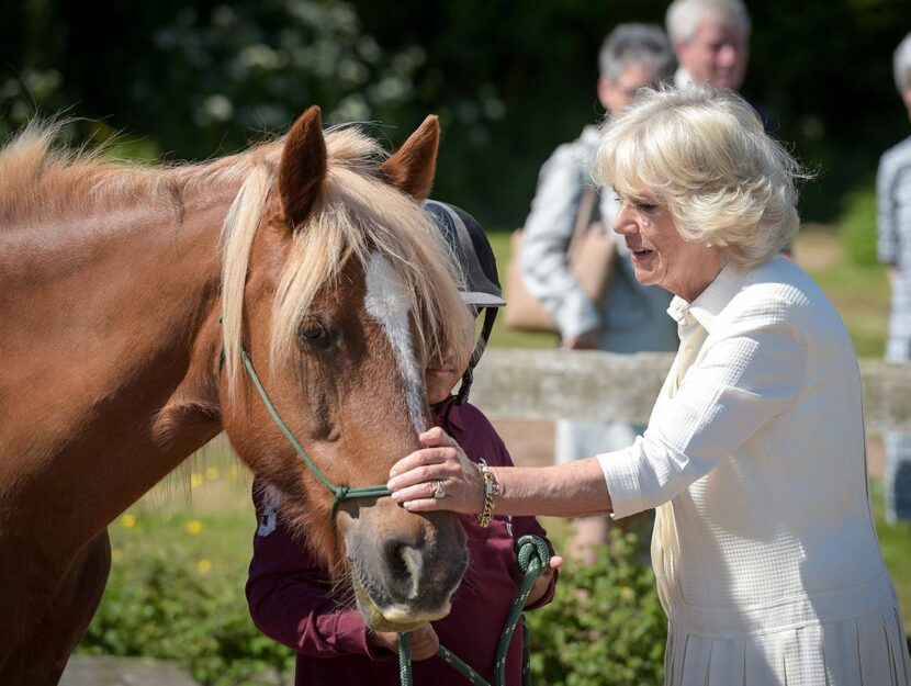 Camilla Parker Bowles accarezza un cavallo