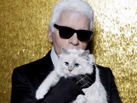 Che fine ha fatto Choupette, la gatta amata da Karl Lagerfeld