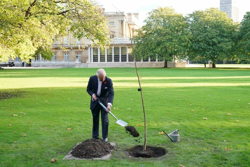 Carlo pianta un albero nell'ambito del progetto "Queen's Green Canopy"