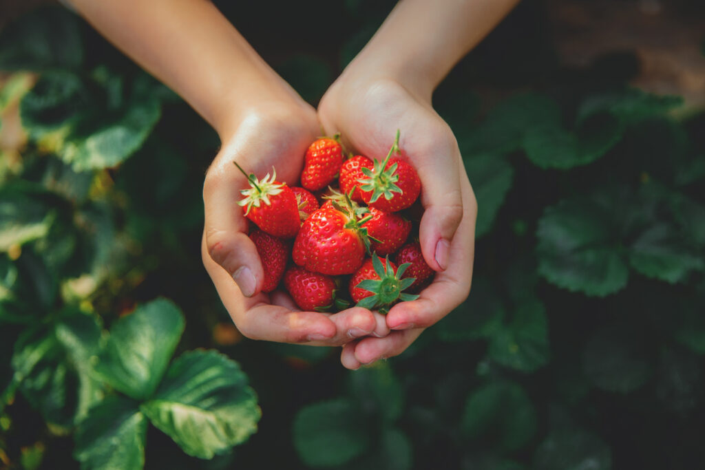 Qual è la frutta a basso indice glicemico?