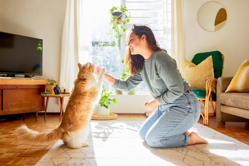 10 modi per mantenere pulita la tua casa anche se hai un cane o un gatto