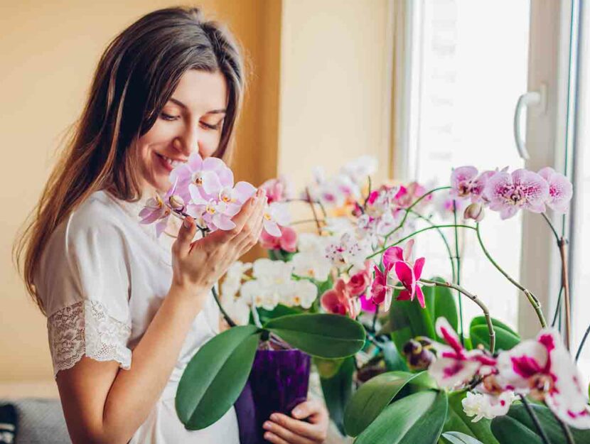 Una donna annusa una orchidea