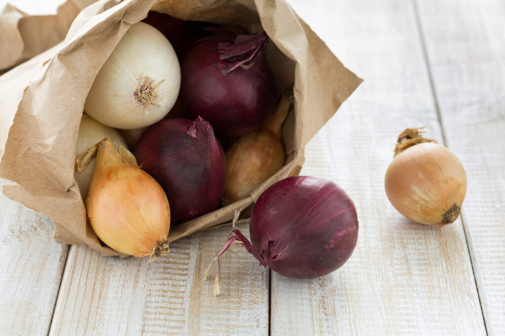 Tutto quello che devi sapere sulla cipolla (e perché usarla di più in cucina!)