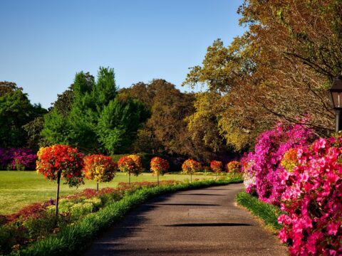 Come recintare il proprio giardino