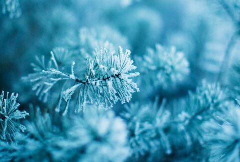 10 modi naturali per combattere la tristezza invernale