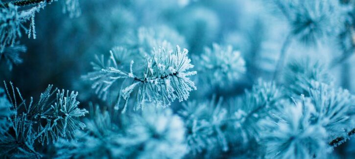 10 modi naturali per combattere la tristezza invernale