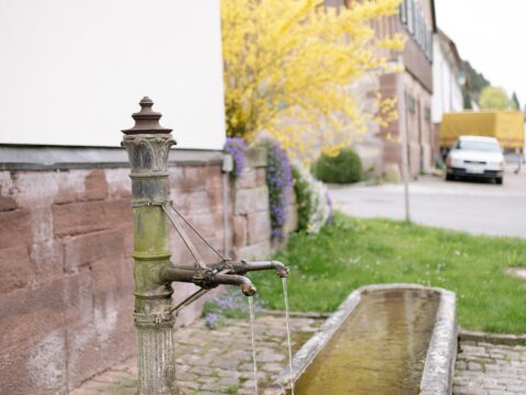 Come realizzare delle fontane fai da te meravigliose e sostenibili per il tuo giardino