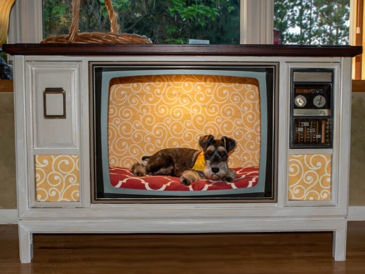5 modi per riciclare una vecchia tv