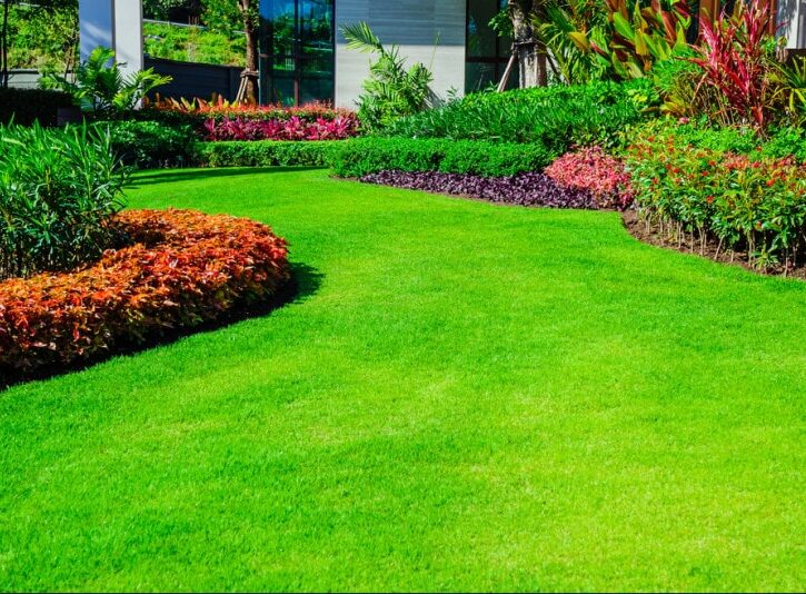 5 consigli per la cura del prato in primavera
