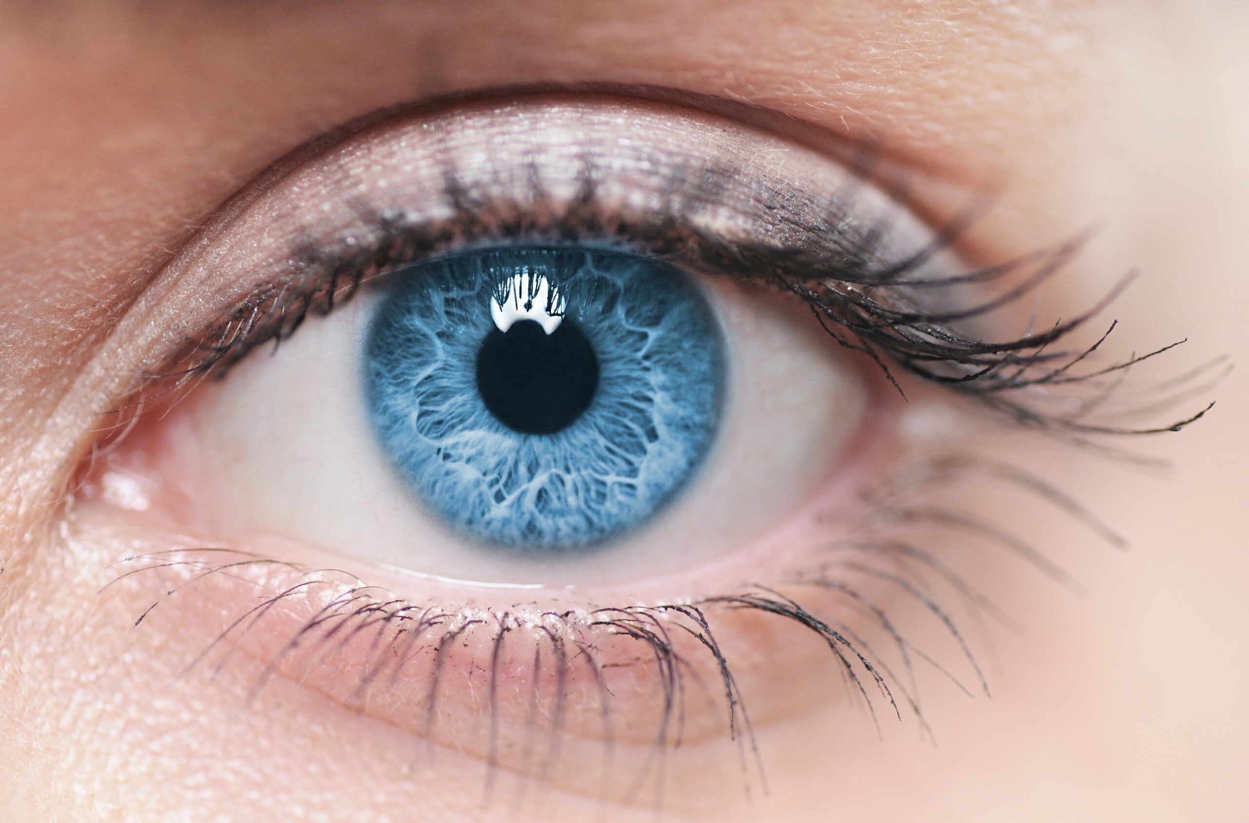 Come esaltare gli occhi azzurri con il trucco - Donna Moderna