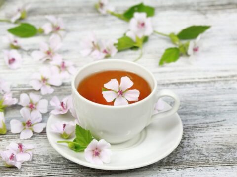 6 tisane per una pelle perfetta