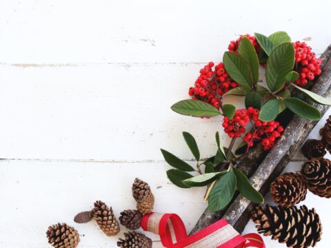 Come trasformare delle pigne in strepitose decorazioni
