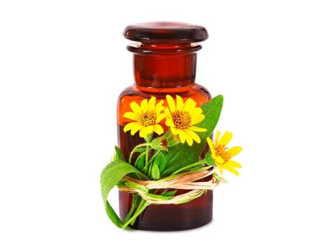 Come fare l’olio di arnica