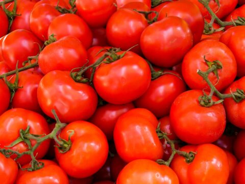 Come si conservano i pomodori