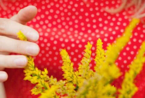8 marzo: festa della donna