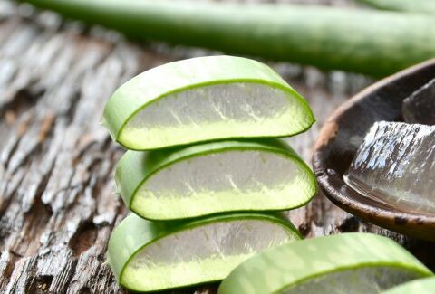 Aloe vera, virtù e insidie: ecco cosa devi sapere per usarla al meglio