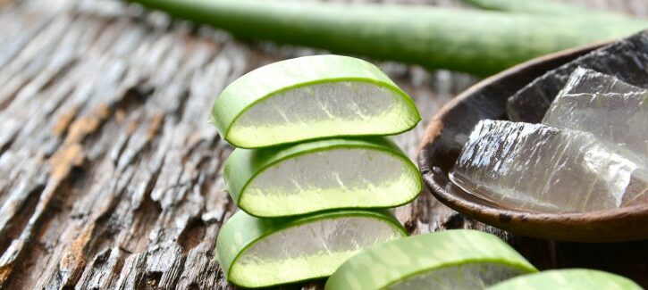 Aloe vera, virtù e insidie: ecco cosa devi sapere per usarla al meglio