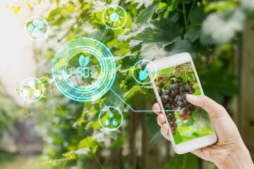 App per il giardinaggio: le più utili per curare piante e orto