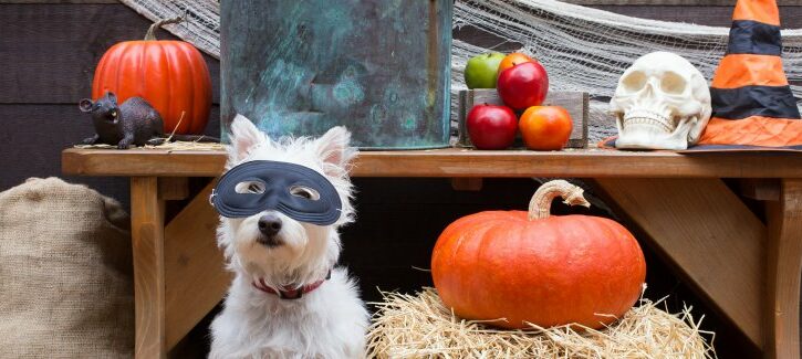 Aspettando Halloween, 31 piccole spaventose idee per la festa