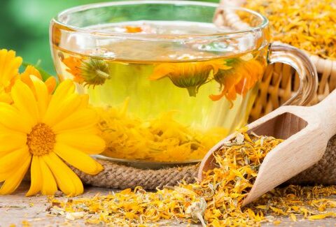 Calendula: proprietà terapeutiche, come si assume e a cosa serve