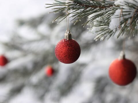 Come addobbare il proprio albero di natale