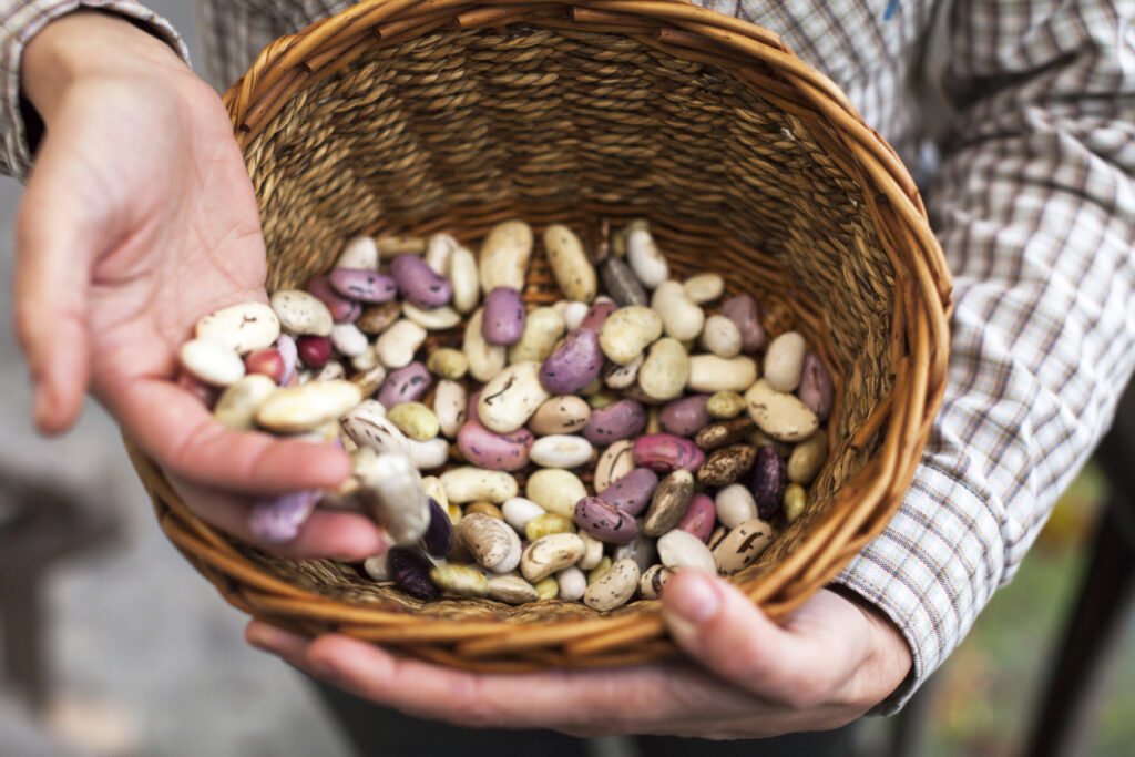 L'importanza del potassio: ecco gli alimenti che ne sono ricchi