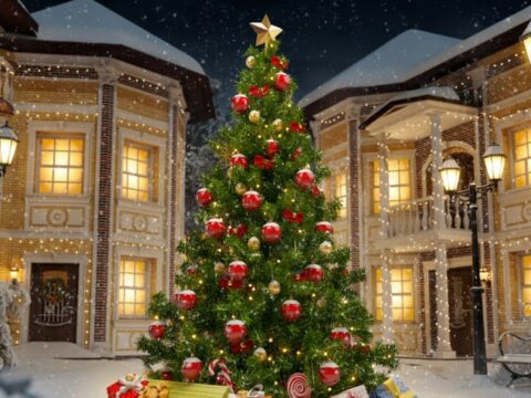 Come addobbare l'albero di Natale all'esterno