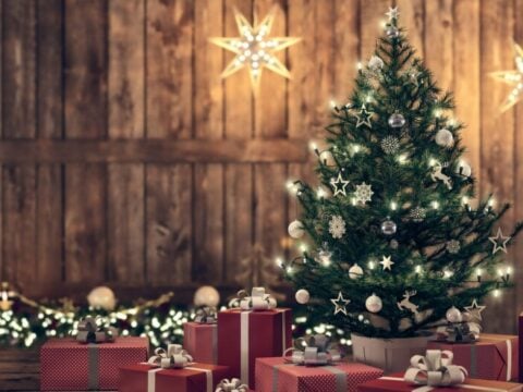 Come applicare le luci sull'albero di Natale