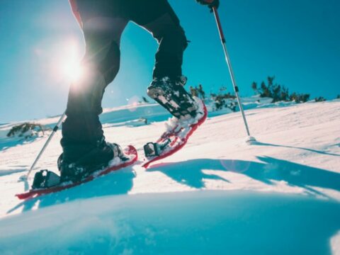 Come costruire delle ciaspole da neve