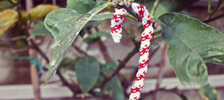 Come fare i bastoncini di zucchero all'uncinetto per l'albero di Natale