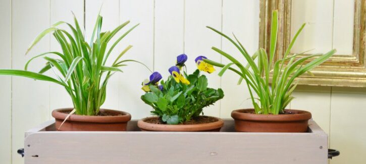 Come fare una fioriera in legno per il balcone