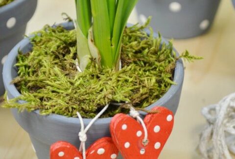 Come fare una pianta decorativa fai da te per San Valentino