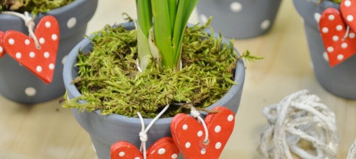 Come fare una pianta decorativa fai da te per San Valentino