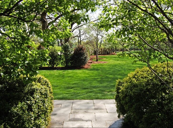 Come preparare il giardino per la primavera